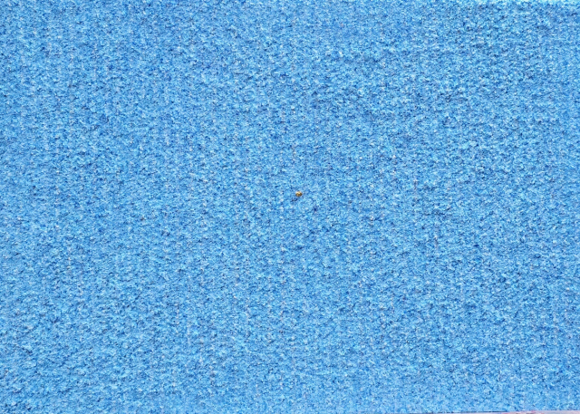 안정희(단묵여류한국화회), 바라보기, Oil on canvas, 65.0x45.5cm