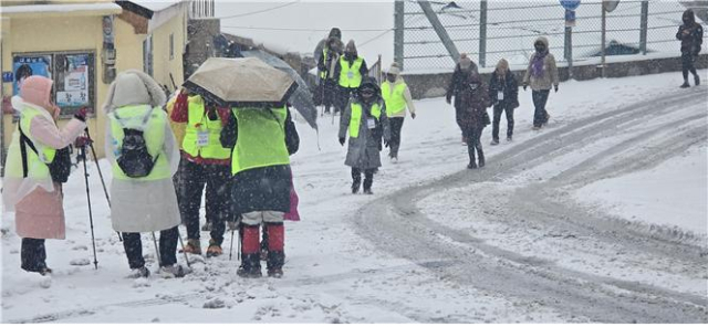 경상북도와 울릉군이 추진한 
