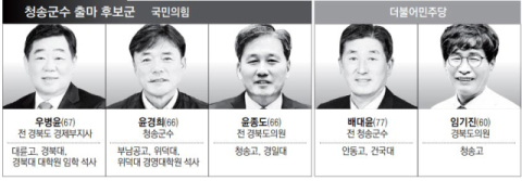 [6·3 지선 판세] 청송군수…현역 군수 두터운 지지층 對 공천 경쟁자 알짜 공약