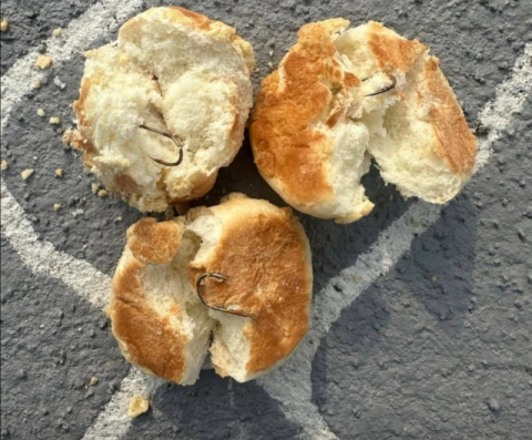 뛰노는 개들 노렸나?…전남 반려견놀이터서 '낚싯바늘' 박힌 빵 발견