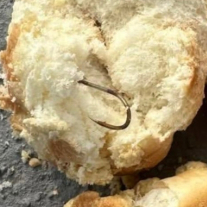 개들 노렸나?…전남 반려 견놀이터서 '낚싯바늘' 박힌 빵