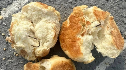 개들 노렸나?…전남 반려견놀이터서 '낚싯바늘' 박힌 빵