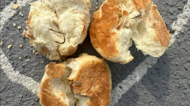 개들 노렸나?…반려견놀이터서 '낚싯 바늘' 박힌 빵