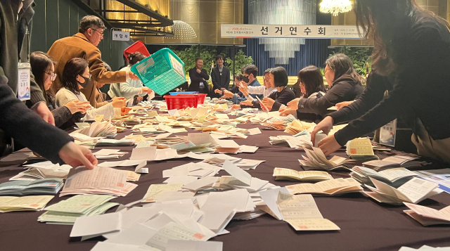 굵직한 이슈들에 묻힌 지방의원 선거…'혼전' 예상