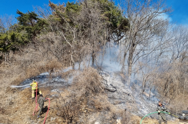 17일 오전 11시51분쯤 안동시 임하면 천전리 경상북도독립운동기념관 인근 야산에서 불이 나 소방과 산림당국이 진화작업을 벌이고 있다. 경북소방본부 제공