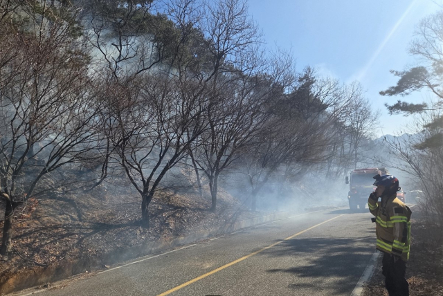 17일 오후 1시 42분쯤 경북 문경시 농암면 지동리 산17-4 일원에서 산불이 발생해 소방 당국이 화재 진압에 나섰다. 경북소방본부 제공