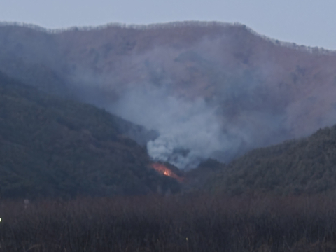 봉화 춘양면 산불 54분 만에 진화…가용 자원 총동원해 확산 차단