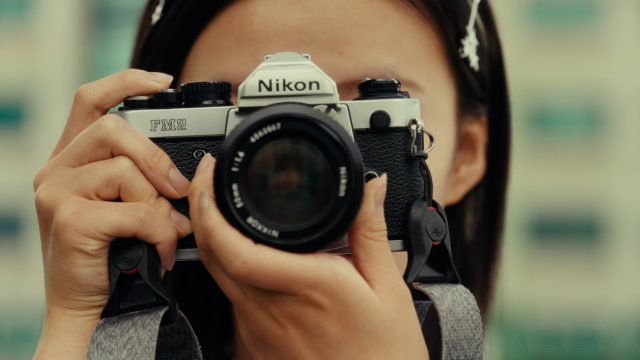 여름의 카메라. 오오극장