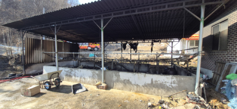 예천 유천면 주택 창고 화재…90대 여성 2도 화상