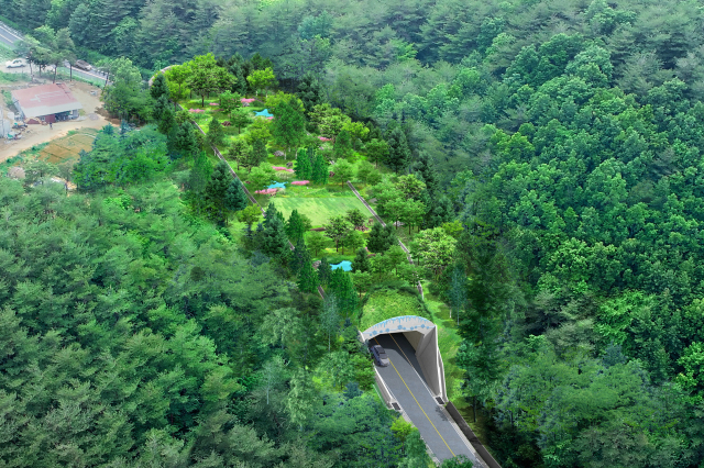 청송군이 추진하고 있는 질고개 생태축 복원사업의 조감도 모습. 청송군 제공