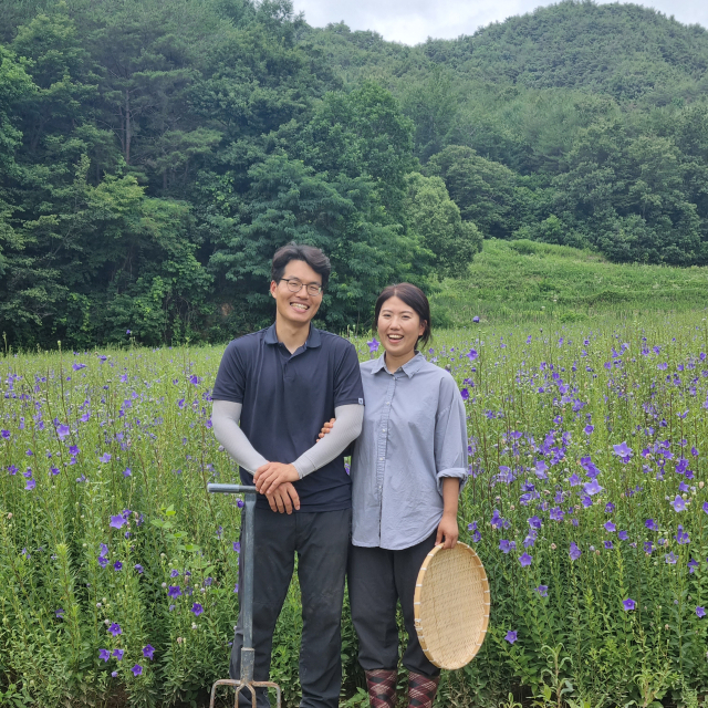 김태준 씨와 아내 박승희 씨가 도라지밭에서 팔짱을 끼고 서 있다. 둘은 2014년 결혼해 그해 고향 영주로 내려왔다.