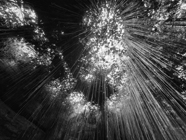 안남용, 12_17 기다림의 시간들 01.