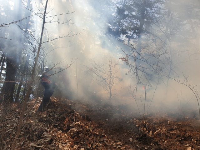 산림당국이 23일 오전 경남 함양군 마천면에서 산불 진화 작업을 하고 있다. 연합뉴스 제공