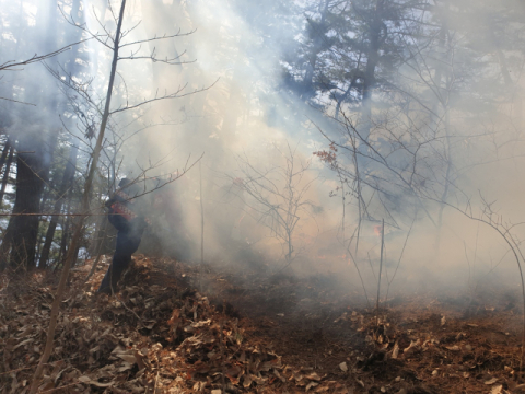 함양 산불 23일 오후 진화율 83% 돌파로 기세 꺾여… 일몰 전 '주불 완진' 총력전
