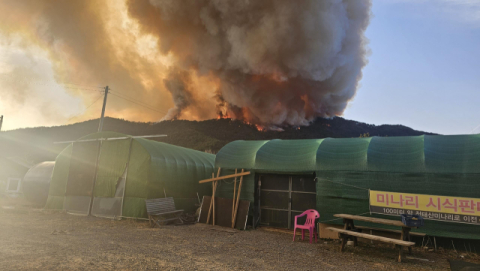 23일 오후 4시경 경남 밀양시 삼량진읍 야산 산불 발생... 헬기 동원 진화 중