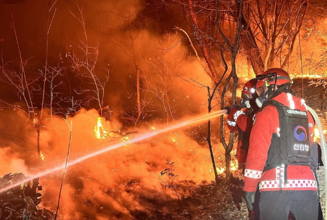 밀양 삼랑진 산불 현장에서 소방관들이 진화에 애쓰고 있다. 연합뉴스 제공