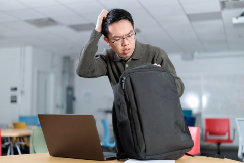 [과학으로 보는 세상] 내 기억은 어디로 갔을까? 관건은 시냅스 연결!