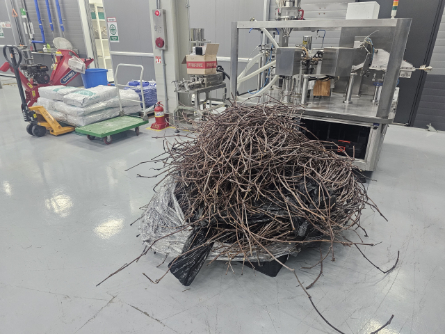 경북 경산 한국섬유기계융합연구원(KOTMI) 셀룰로스 나노섬유(CNF) 소재 산업화센터 내 원료를 추출하기 위해 수거한 나뭇가지가 쌓여 있다. 정우태 기자