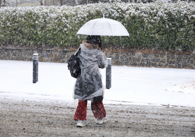 대전·세종·충남 남부권에 대설주의보가 발효된 24일 오전 대전 서구 둔산동에서 한 시민이 우비와 우산으로 눈을 피하며 발길을 가고 있다. 사진은 기사내용과 관련 없음. 연합뉴스