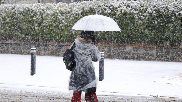최대 8㎝ 기습 폭설…대구경북 18곳 대설주의보