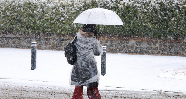 최대 8㎝ 기습 폭설…대구경북 18개 지역 대설주의보