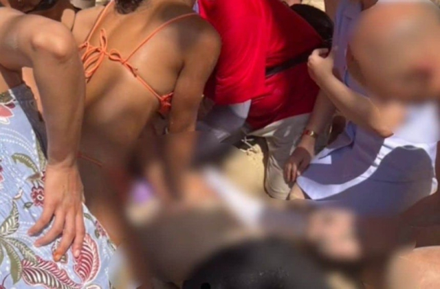 더타이거 보도화면 캡처.