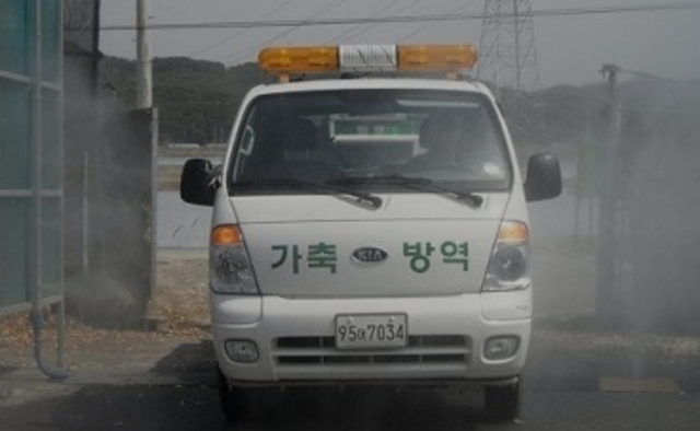 성주 산란계 농장서 AI 항원…25만여마리 긴급 살처분