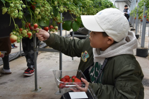 신천도서관-대구도시농업연구회 협력, 가족 참여형 '도시농부' 운영