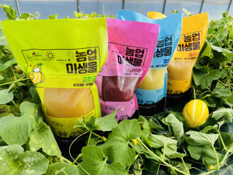 반값 미생물로 농가 부담 덜고…성주참외 품질·수익 '두 마리 토끼'