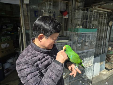 '새소리' 멈춘 반월당…쇠퇴하는 조류업계, 그래도 새장은 닫히지 않았다