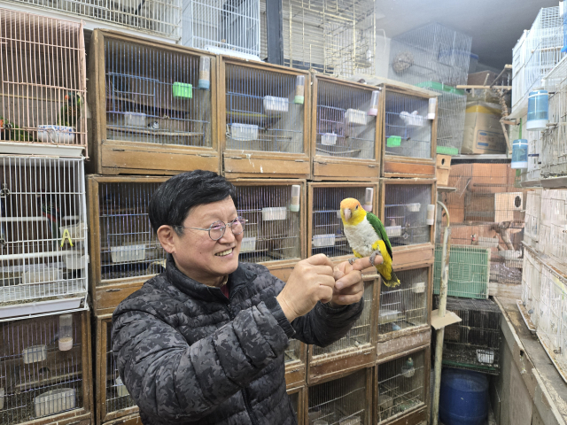 반월당역 인근에서 조류사를 운영 중인 현기봉(69) 씨. 사진은 현 씨가 앵무새를 만지고 있는 모습. 임재환 기자