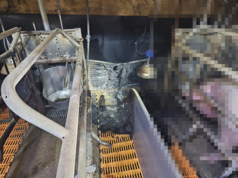 의성 금성면 돈사 화재…20여 분 만에 진화