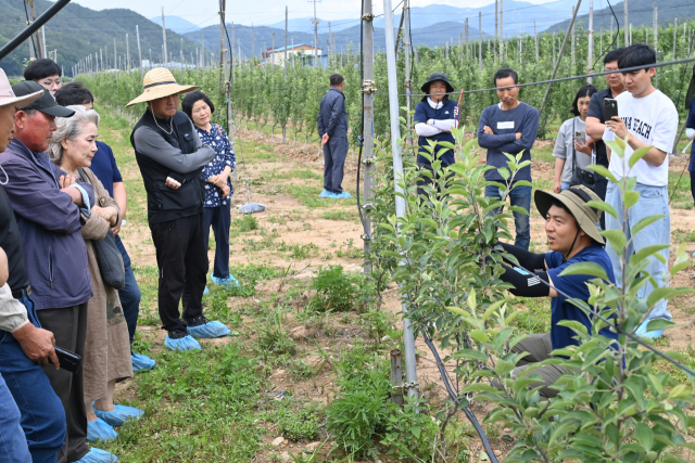청송사과 미래형 과원 조성교육을 듣는 교육생들의 모습. 청송군 제공