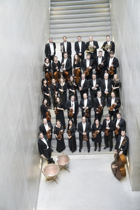 '잘츠부르크 모차르테움 오케스트라' 첫 대구 공연…양인모 협연