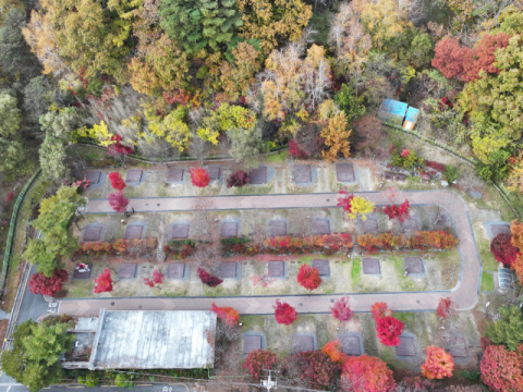 대구 동구 팔공산국립공원 도학야영장, 지난 1일 개장