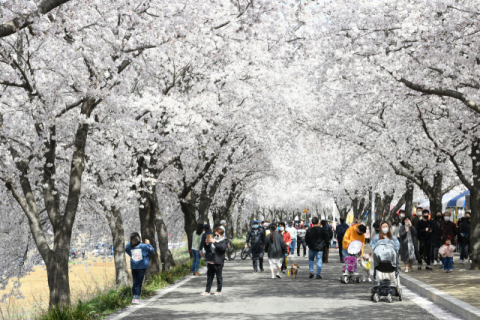 지선 앞두고 구·군 행사 줄줄이 지연 되거나 취소…선거법 위반 우려