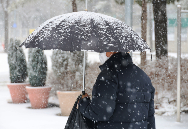 대전·세종·충남 남부권에 대설주의보가 발효된 24일 오전 대전 서구 둔산동에 함박눈이 내리고 있다. 연합뉴스