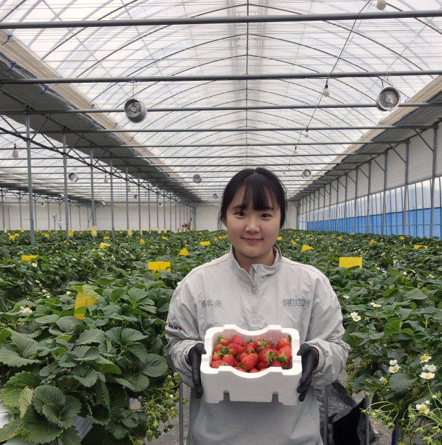 청년농부 채송화.