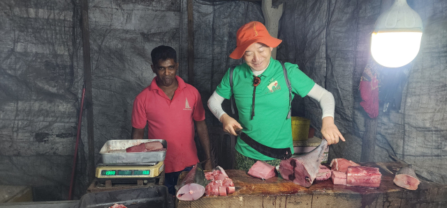 낚시로 잡은 저렴한 참치를 동네 생선가게에서 사서 매일 맛나게 먹는 호사를 누렸다.
