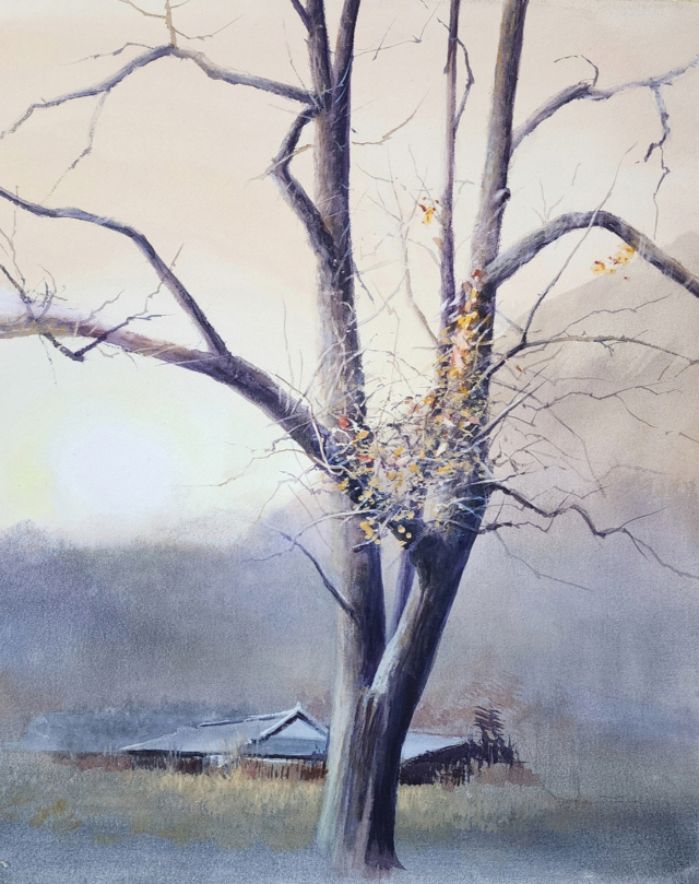 고찬용, 홀로 남은 감나무, Watercolor on paper, 72.7&times;60.6cm