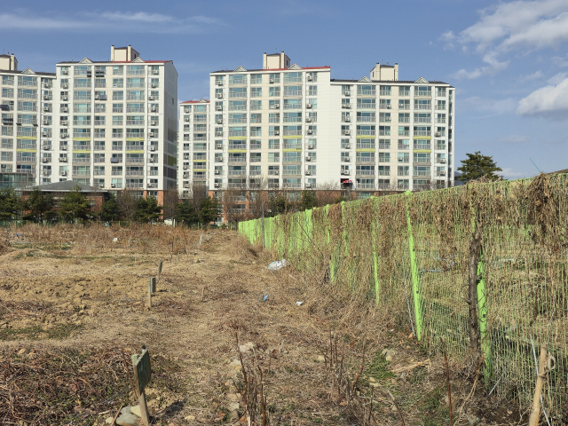 지난 4일 찾은 대구 동구 율하동 안심도서관 인근 1만3천㎡ 규모 미매각 학교용지. 연두색 펜스가 출입을 막고 있는 이곳에는 무허가 텃밭으로 운영되던 흔적이 남아 있었다. 김지효 기자