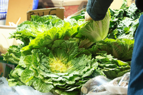 '두쫀쿠' 다음은 '봄동'…제철 먹거리 소비 '제철코어' 뜬다[트렌드 경제]