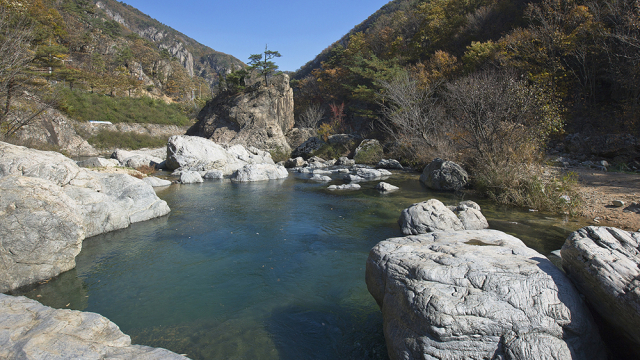 국내 영화로서는 2024년 이후 처음으로 천 만 관객을 돌파한 영화 