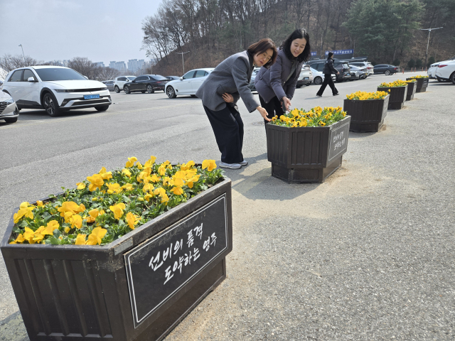 활짝 핀 노란 팬지를 길가던 시민들이 지켜 보고 있다. 마경대 기자
