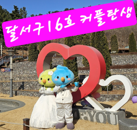 2026년 인연 꽃피운 달서구…미혼남녀 만남행사'16호 성혼커플'탄생