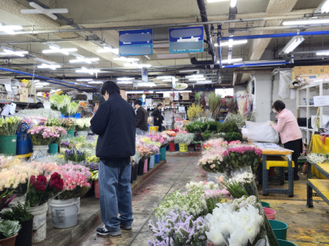 쌀쌀한 날씨 탓에 보일러 때야…딸기·참외·화훼농가 곡소리