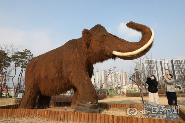 [두나의 두발 산책] 걸어서 만나는 가장 오랜 대구…선사시대 역사 따라
