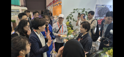 영주시, 'FOODEX JAPAN 2026' 참가…샤인머스캣·산양삼 가공식품으로 일본시장 공략
