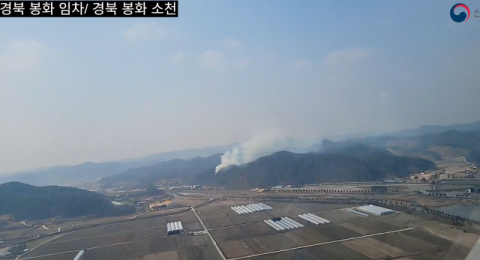 봉화읍 야산 산불 50분 만에 진화