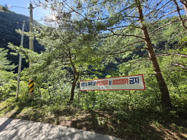 울진군이 3월부터 9월까지 하천, 계곡 불법 점용시설 단속을 펼친다. 울진군 제공